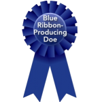 Blue Ribbon Producing