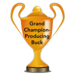Grand Champion Buck