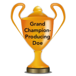 Grand Champion C